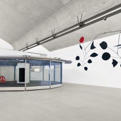 Calder Prouve 002