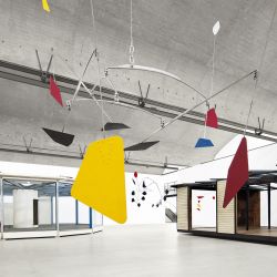 Calder Prouve 005